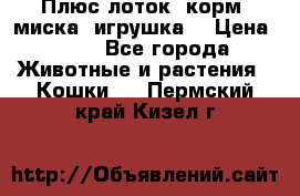Плюс лоток, корм, миска, игрушка. › Цена ­ 50 - Все города Животные и растения » Кошки   . Пермский край,Кизел г.